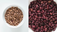 Descoperind cele mai bune tipuri de proteine vegetale