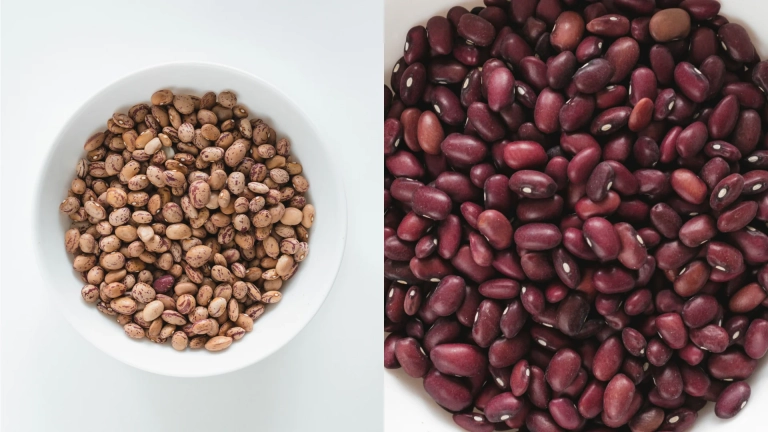 Descoperind cele mai bune tipuri de proteine vegetale