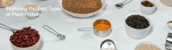 Descoperind cele mai bune tipuri de proteine vegetale